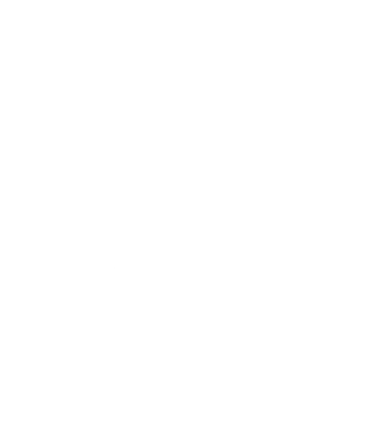 B&D Flyerverteilung - Logo