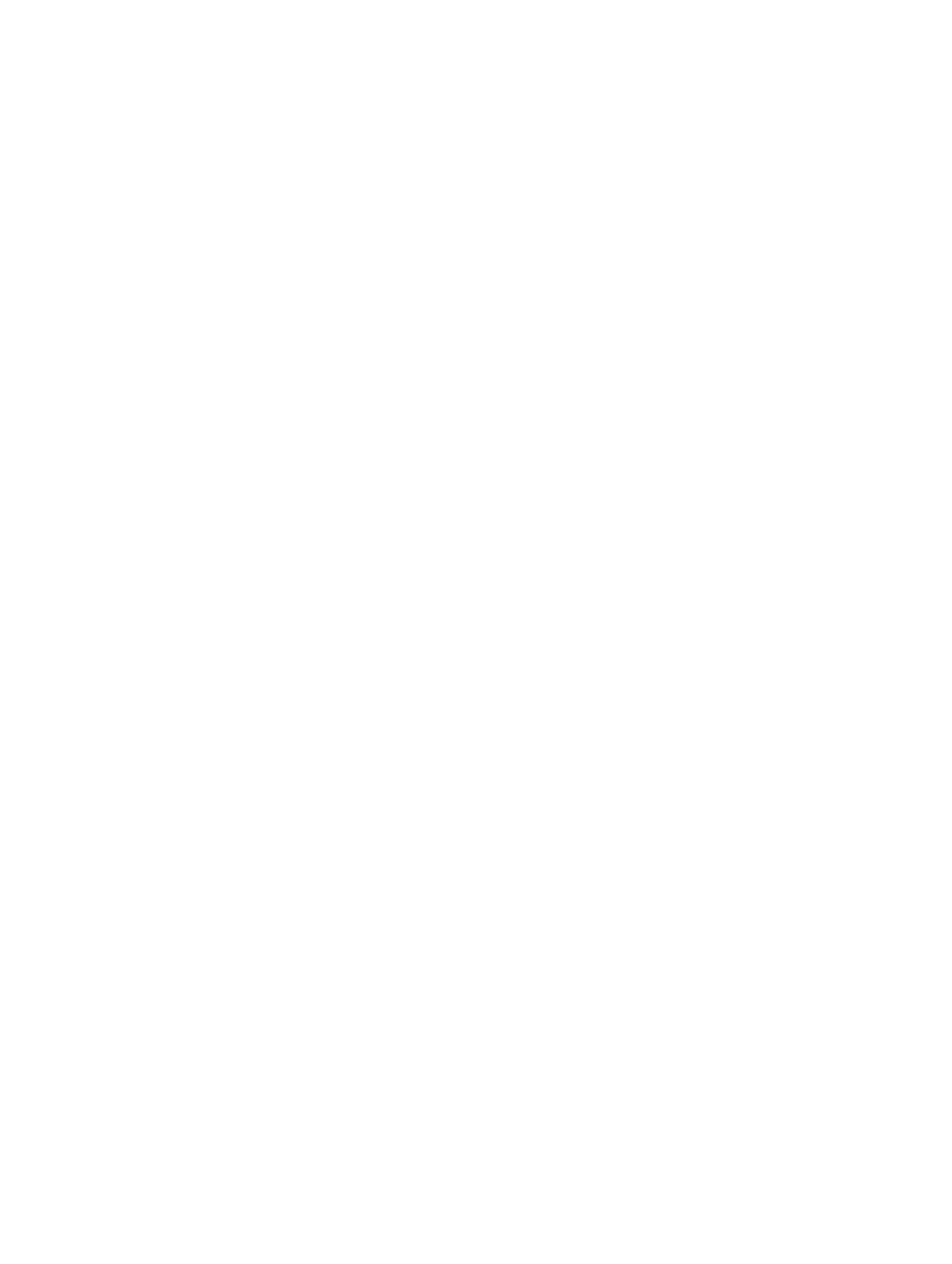 B&D Flyerverteilung - Logo